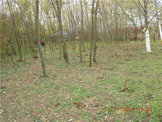 arčilend